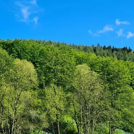 Guest house Ladijean Grandfontaine (Bas-Rhin)